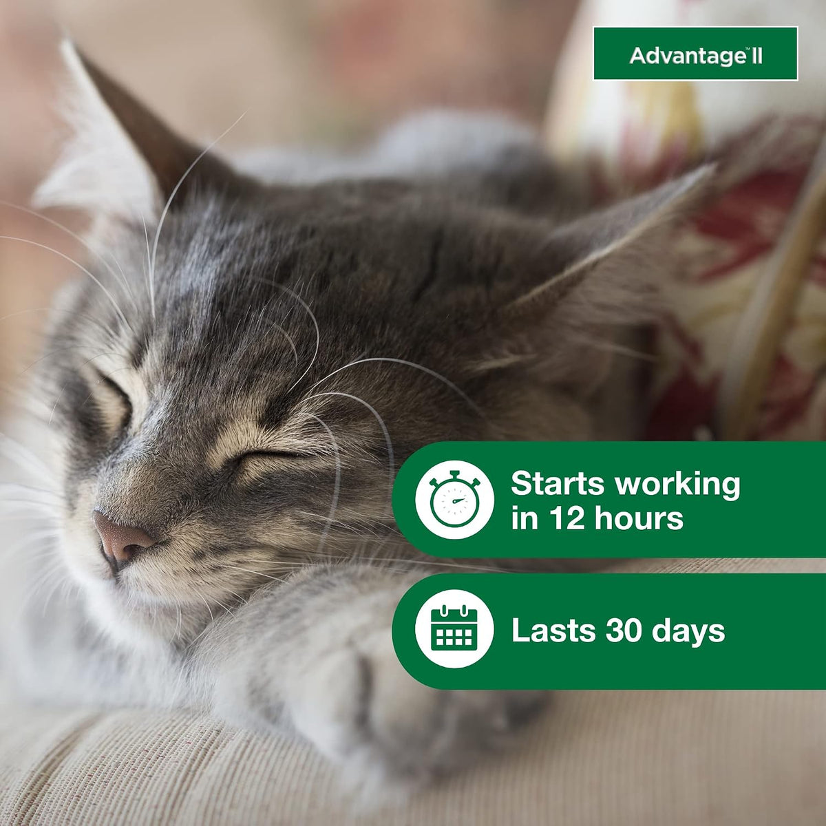 Advantage II Small Cat Topical Flea Treatment & Prevention, 1ct
