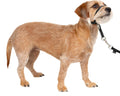 PetSafe Gentle Leader No Pull Dog Headcollar, Black, Small