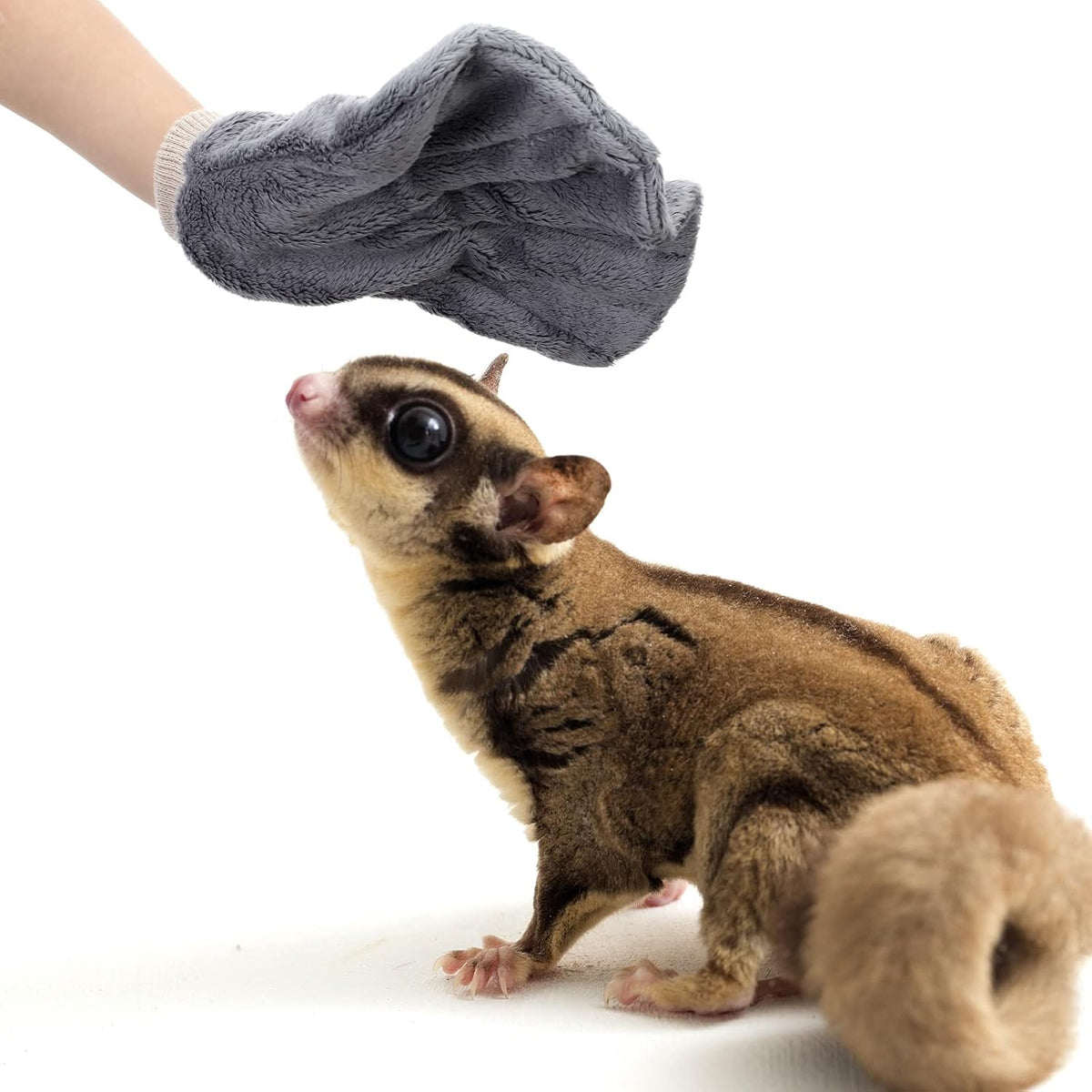 Xuhal 2 Pcs Sugar Glider Bonding Mitt Calming Sleeping Glove, Gray