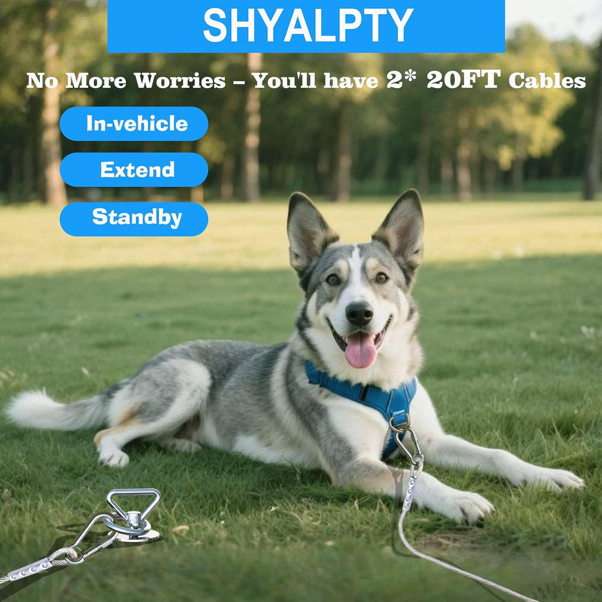 Dog Tie Out Cable and Stake for Camping,with 2x20FT Heavy Duty Cables(up to 200lbs),360°Swivel Dog Run Anchor- No Tangle,Dog Runner for Yard -Ideal for Outdoor Camping