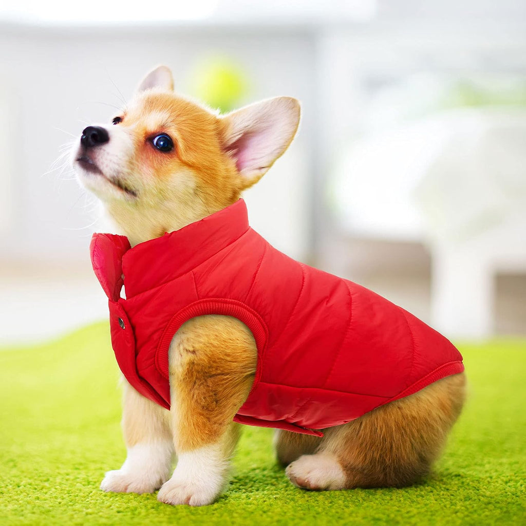 Syhood 2 Pcs Dog Jacket Fleece Lined Windproof Winter Coat, Navy,Red, L