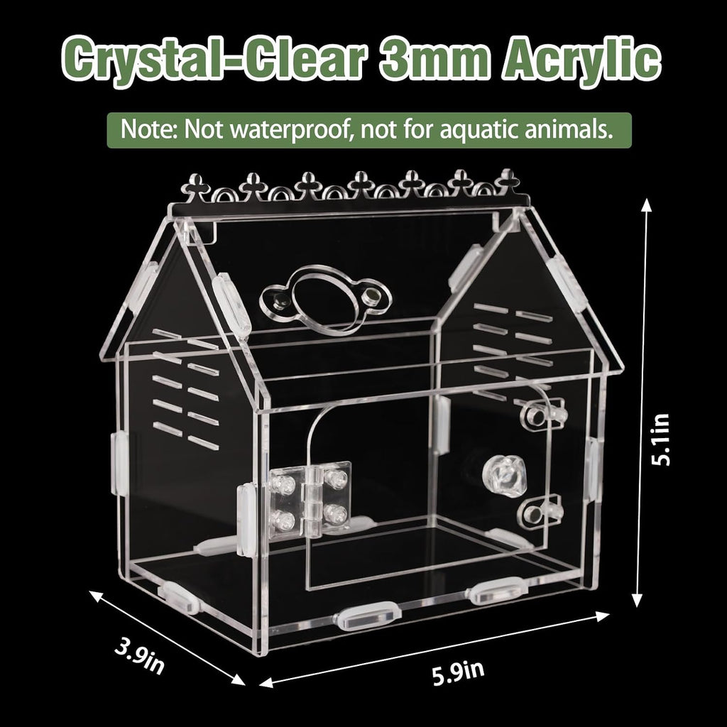 Acrylic Jumping Spider Enclosure Magnetic Lock Terrarium