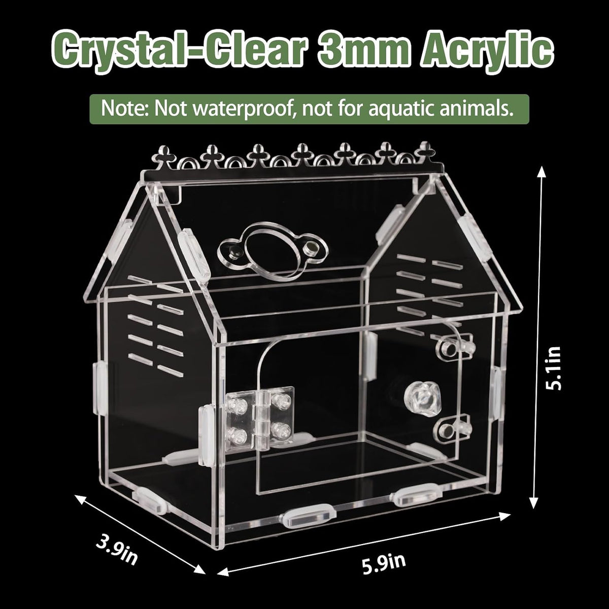 Acrylic Jumping Spider Enclosure Magnetic Lock Terrarium