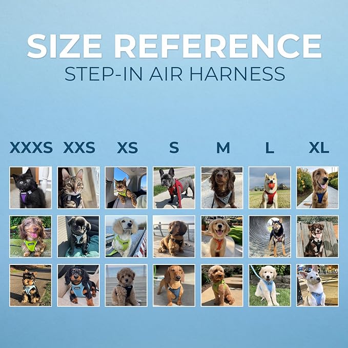 Best Pet Supplies - Image 6