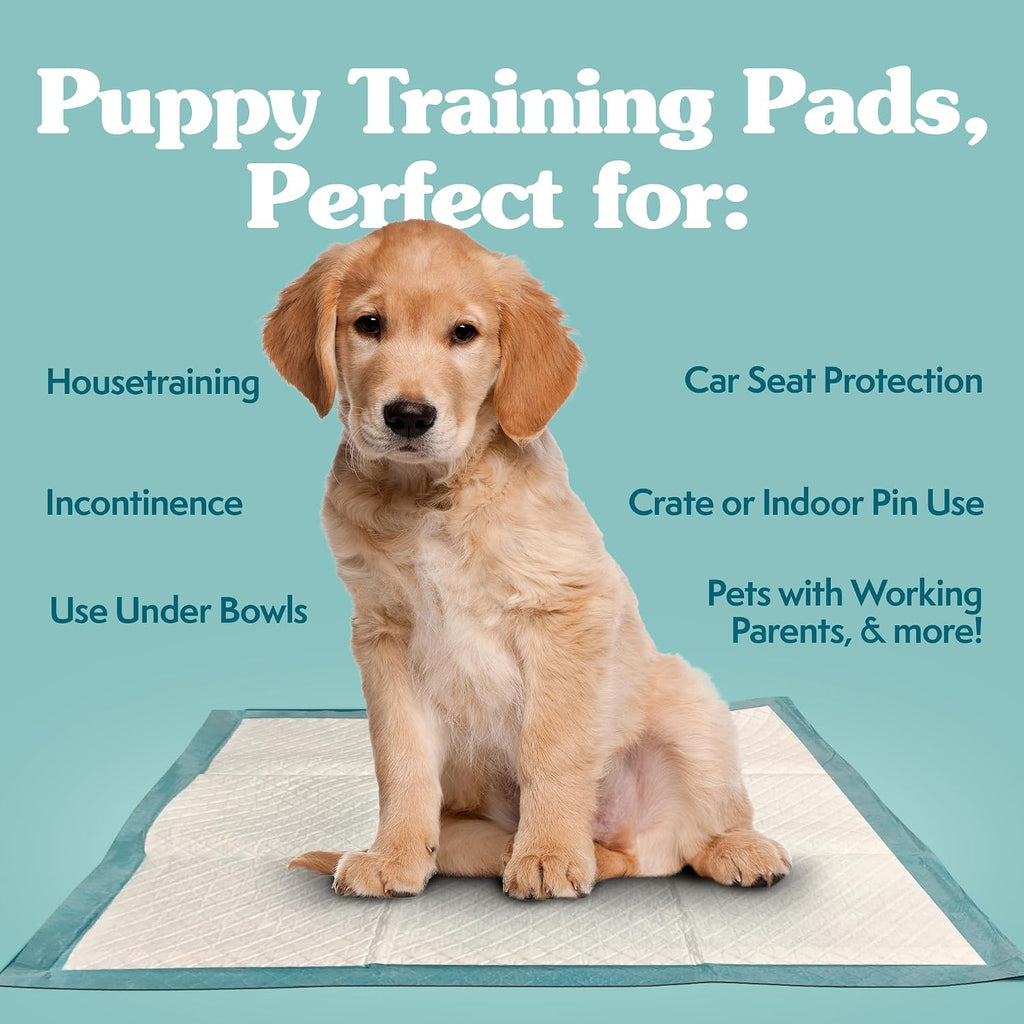 Simple Solution XL Pee Pads for Dogs, Leak Proof Dog Pads, 28x30, 100 Count