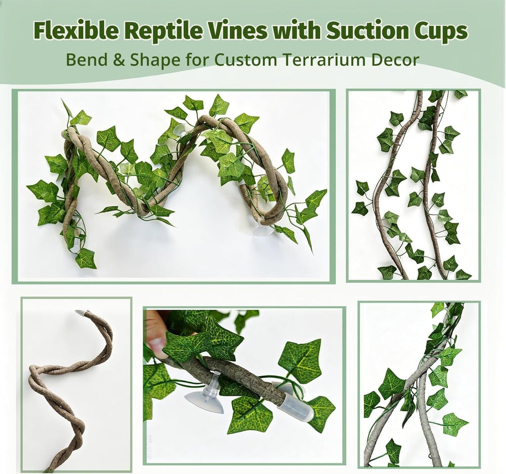 Bearded Dragon Tank Decor, Leopard Gecko & Snake Enclosure Accessories Set