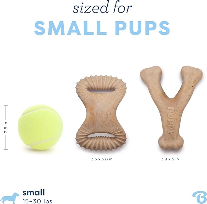 Benebone Puppy 2-Pack Dental Chew/Wishbone Real Chicken Small - Image 4