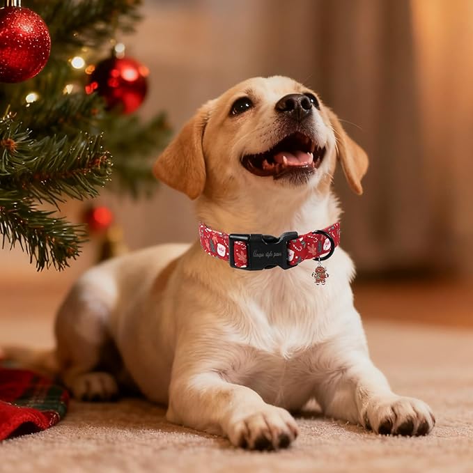 Christmas Dog Collar, Unique Style Paws Santa Claus Dog Collar - Image 4