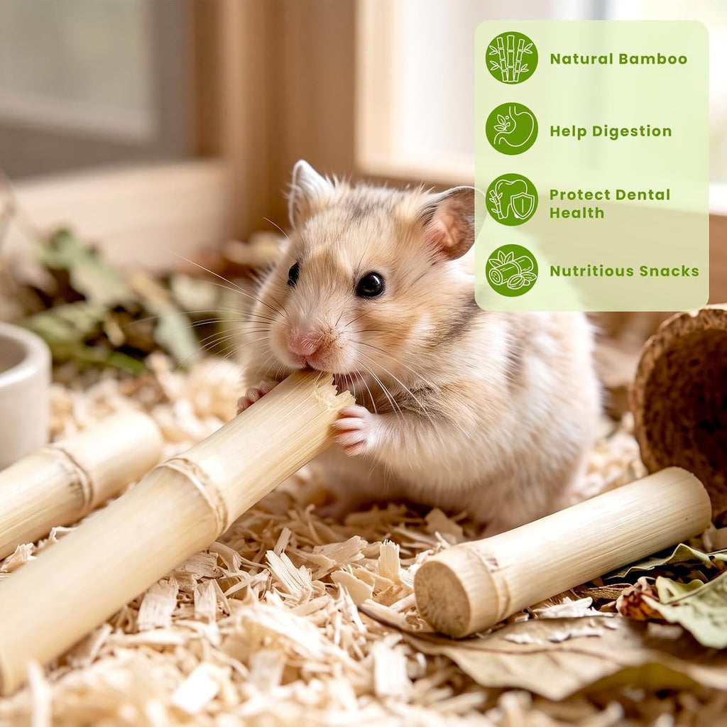 2.5 LB Sweet Bamboo Sticks Bulk Pack for Rabbits Small Animals