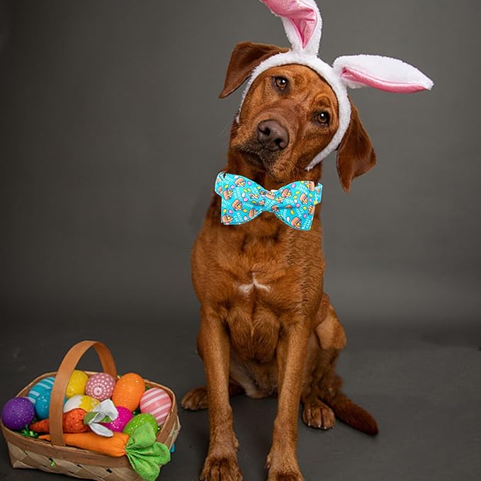 Lionheart Glory Easter Day Dog Collar - Image 5