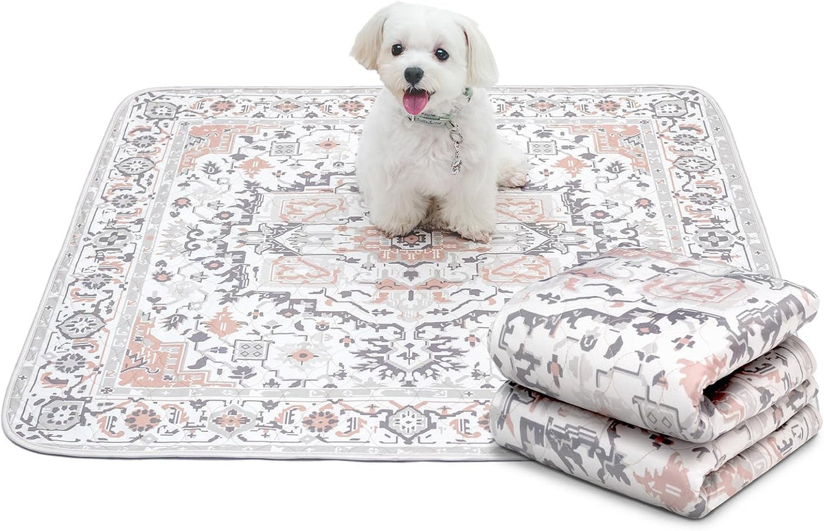 Paw Inspired Designer Light Persian Print Dog Pads, 36x36 Inch Size, 2 Pack