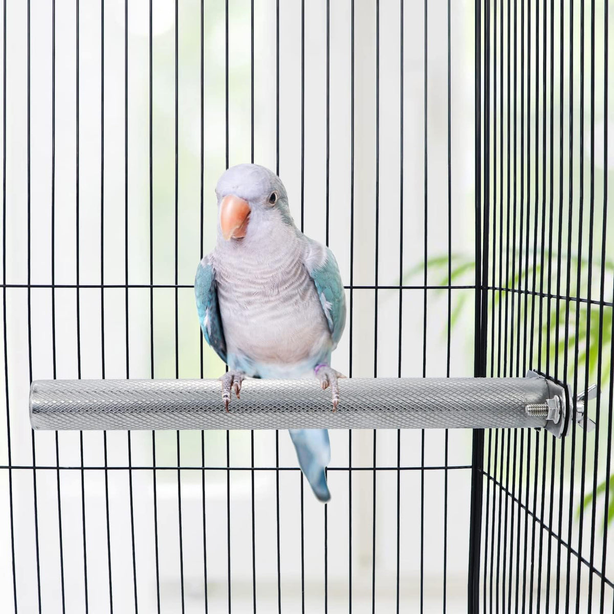 Wontee Bird Perch Stand Stainless Steel Parrot Cage Perch Accessories for Parakeets Cockatiels Conures African Greys Macaws Amazon Parrots (M (9.8"x1")