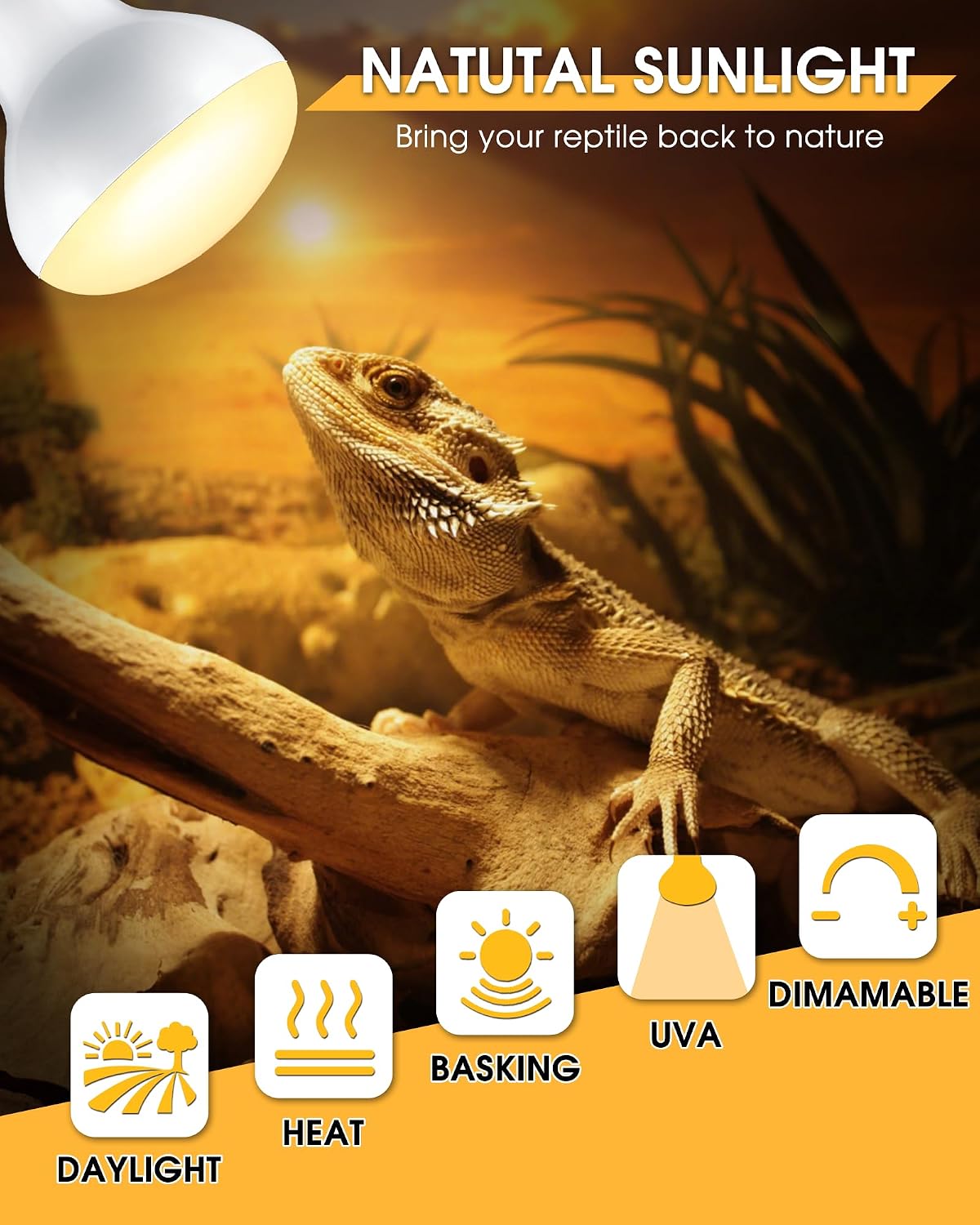 4 Pack 75 Watt Reptile Heat Lamp Bulb, E26 UVA Basking Spot Light Bulb