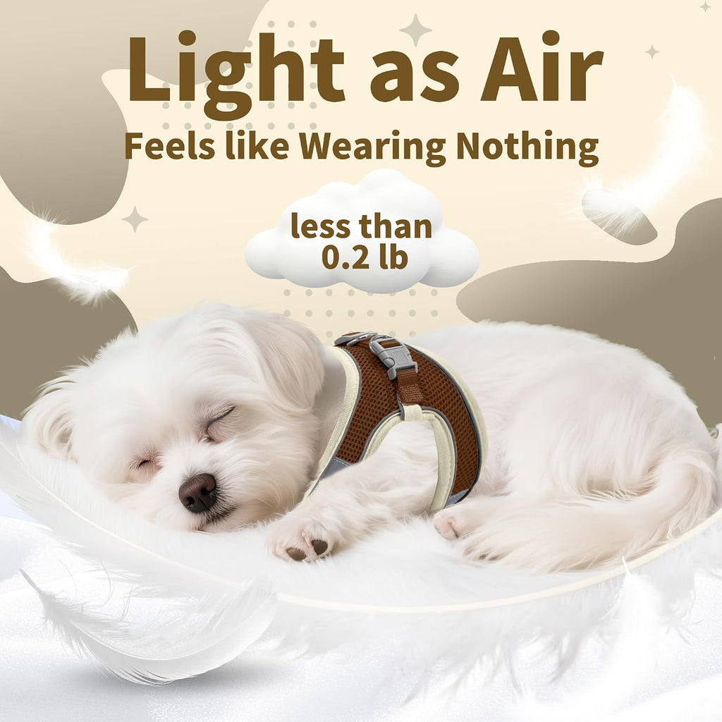 AIITLE Small Dog Harness and Leash Set, Step-in Puppy Pet Vest, Beige S