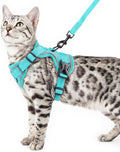 Cat Harness and Leash Set Escape Proof Tactical Medium Kitten Harness Emotional by pangdi