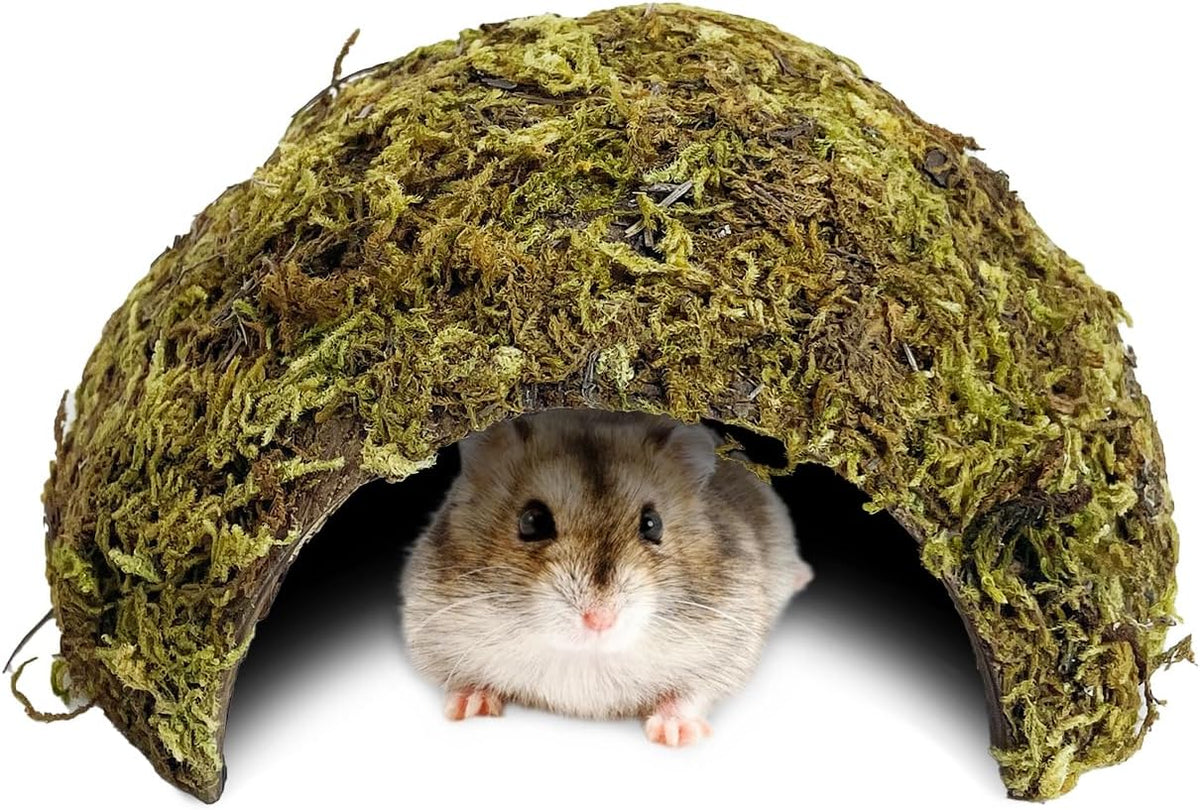 BNOSDM Hamster Hideout 2Pcs Natural Mossy Cave Houses
