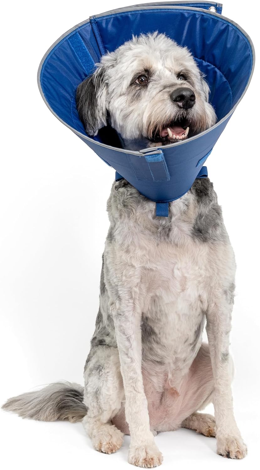 Calm Paws Dog Caring Collar W/Calming (Large)