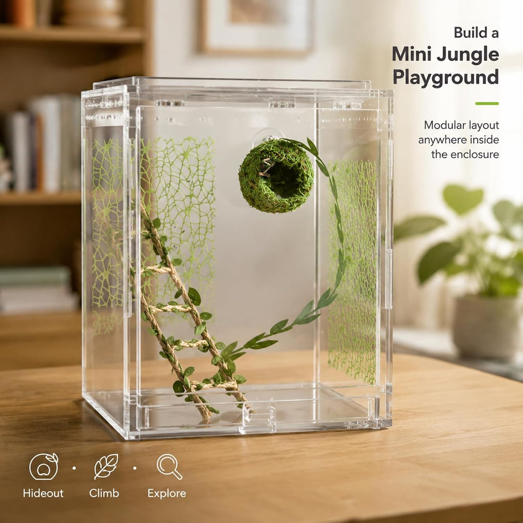 Magnetic Jumping Spider Enclosure Accessories