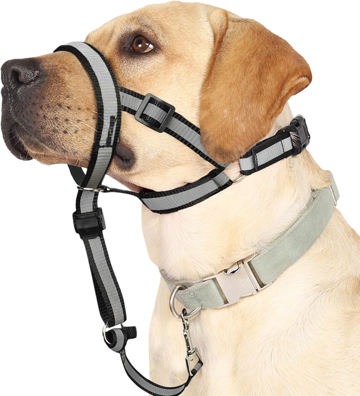 BARKLESS Reflective Head Collar, No Pull Collar for Medium Dogs