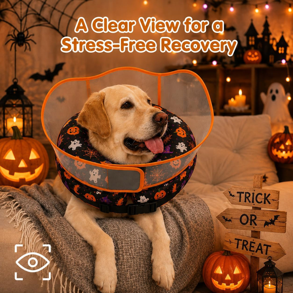 Avont 2-in-1 Dog Cone XL Halloween Shield, Halloween Dog Costume