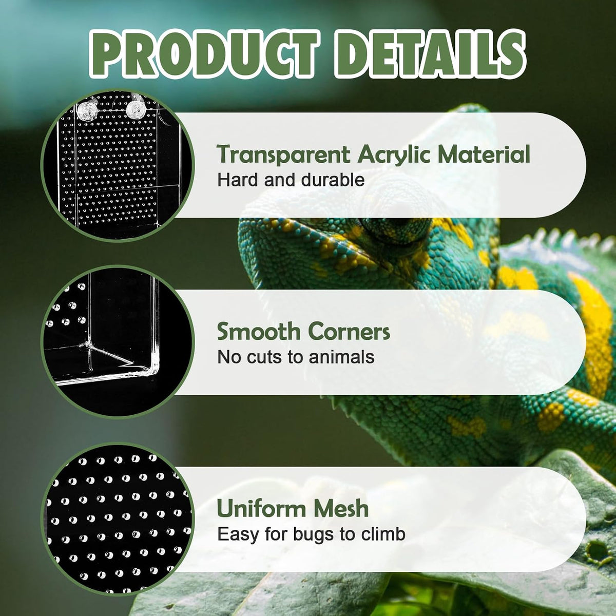 Chameleon Feeder Box with Suction Cups, Acrylic Feeding Bowl for Bearded Dragon, Wall-Mounted Insect Feeder for Lizard, Iguana, Gecko, Frog