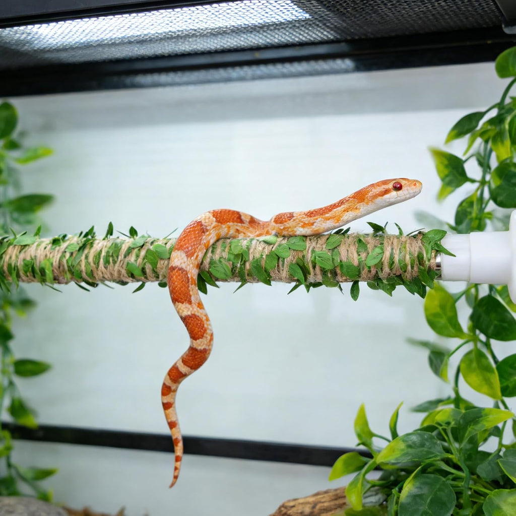 Snake Enclosure Accessories, Adjustable Metal Climbing Stick with Decoration Rope, Snake Enrichment Toys, Ball Python Tank Accessories, Climbing Branch for Small Reptile