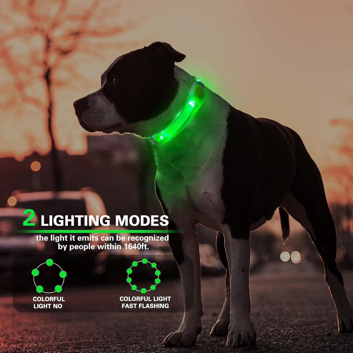 2 Pack LED Light for Dog Leash Harness, Light Up Dog Collar with Nylon Stickers, Waterproof Glow Light Easy to Attach to Collar Leash and Harness, Safety LED Light Up Band for Dogs at Night Walking