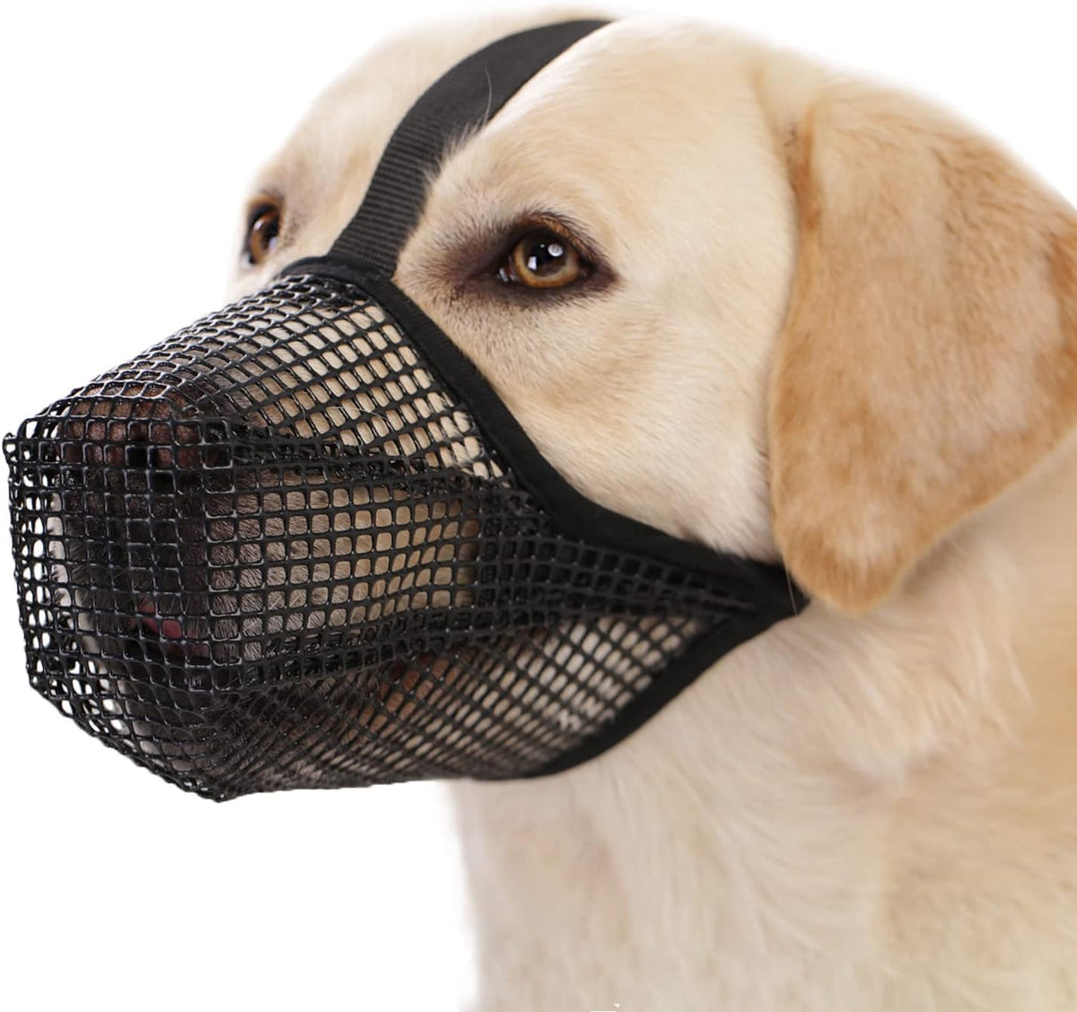 Crazy Felix Mesh Covered Dog Muzzle for Small Medium Large Dog Anti Eating