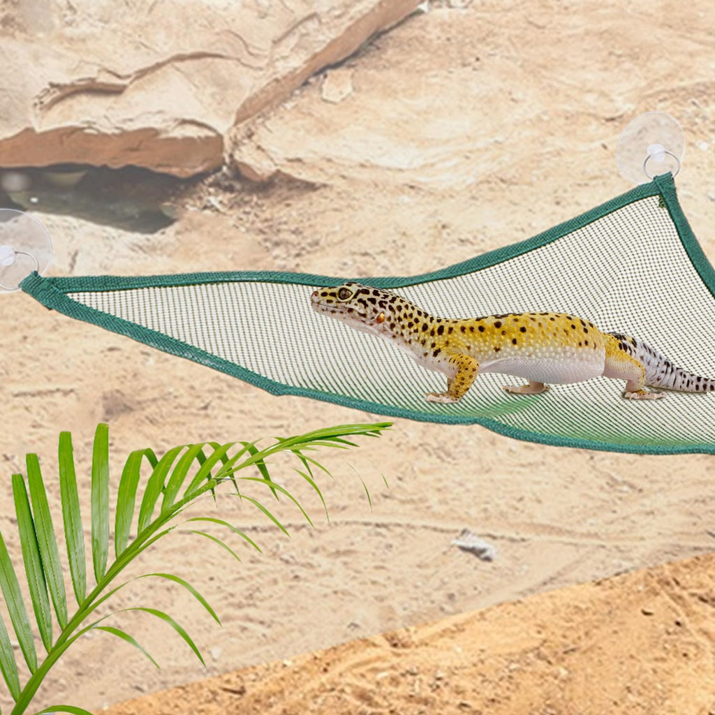 Wontee Bearded Dragon Hammock Reptile Lizard Hammock Lounger Bearded Dragon Tank Decor for Bearded Dragons Axolotls Geckos Lizards, 2 Hammock, 1 Hat (Green)