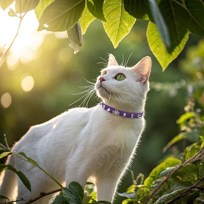 EXPAWLORER Leather Cat Collar for Girl Boy- Adjustable Pet Collar - Image 6