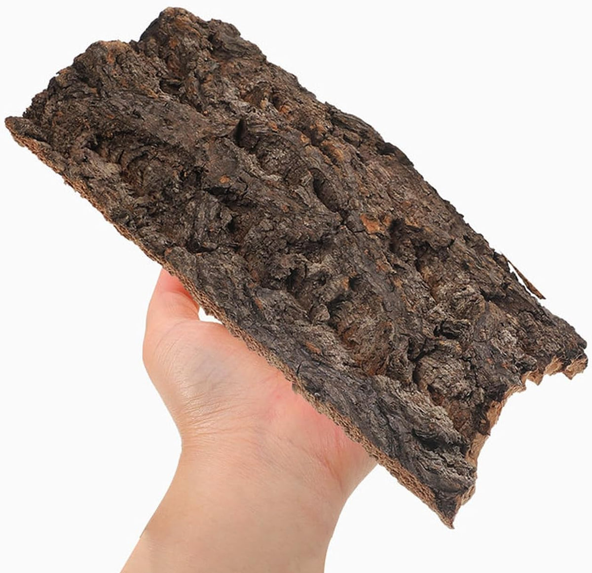 Cork Bark for Reptiles: Reptile Wood and Tree Bark Bearded Dragon Hides