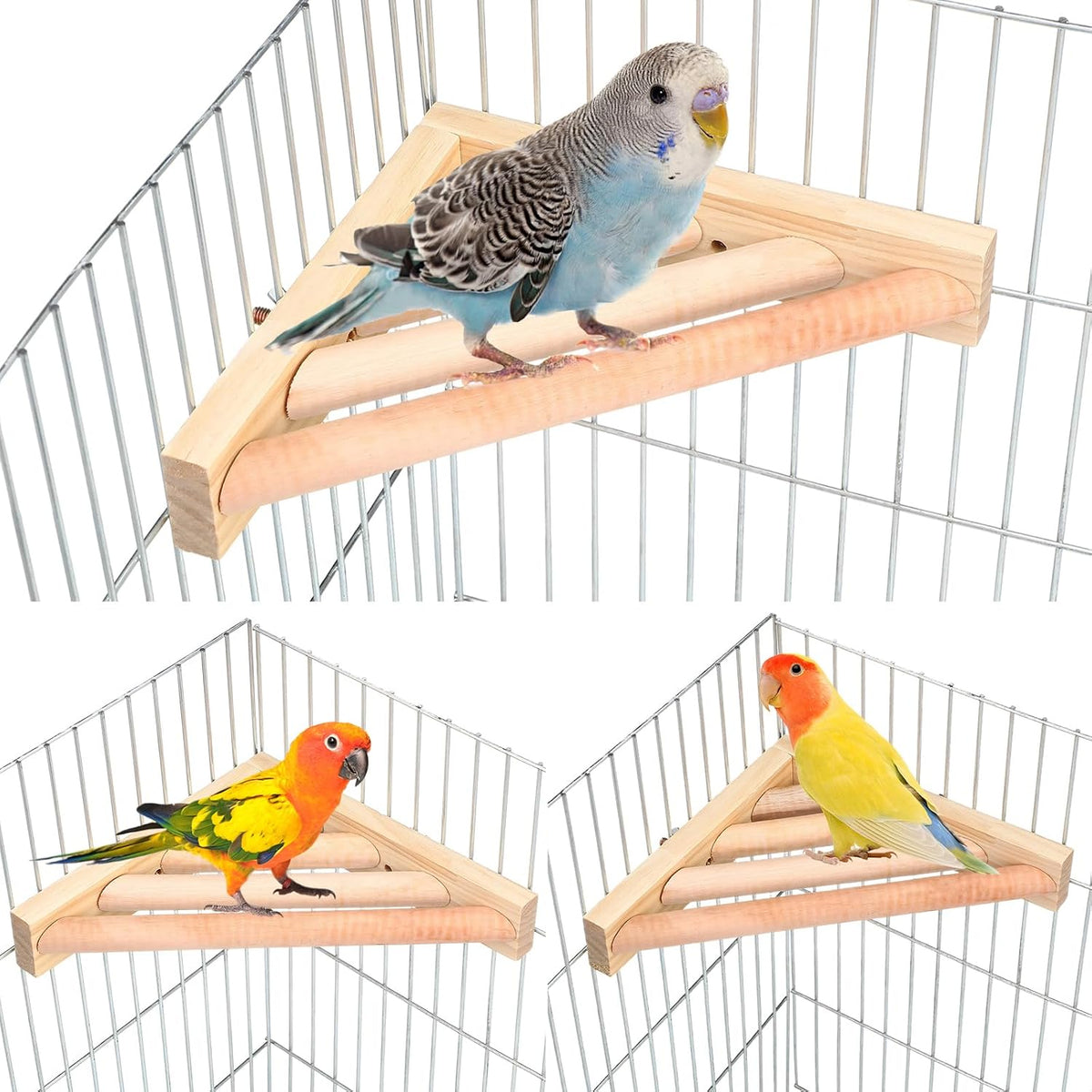 Wettarn 6 Pcs Bird Perch Platform Bird Corner Parrot Perch Corner Wooden Stand Sector Playground Cage Accessories Shelf for Parakeet Conure Cockatiel Budgie Gerbil Rat (7.1 x 7.1 Inch,Platform)