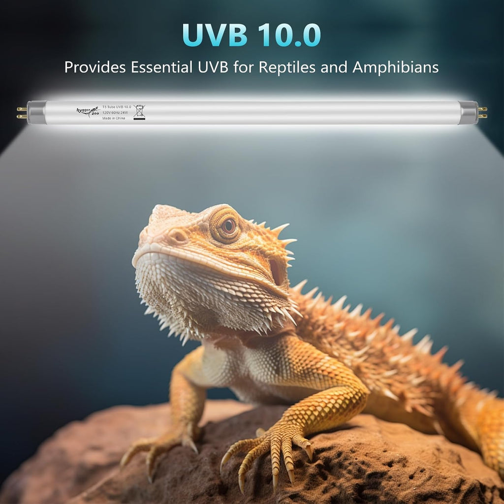 3-Pack UVB Reptile Light 10.0 Bulb 8W T5 Fluorescent Desert Lamp UVA for Bearded Dragon Tortoise Reptile & Amphibian