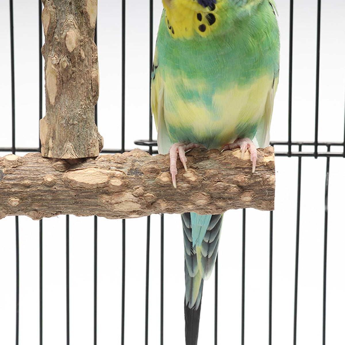 7 PCS Natural Wooden Perch Bird Stand Parrot Perch Stand Bird Climbing Standing Branches Toy for Small Lovebirds Budgies Cockatiels