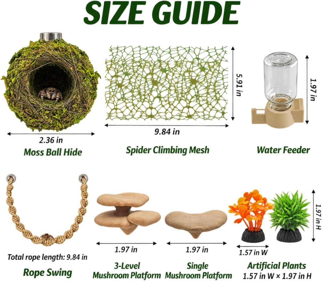 Jumping Spider Enclosure Accessories Kit with Moss Hide and Web
