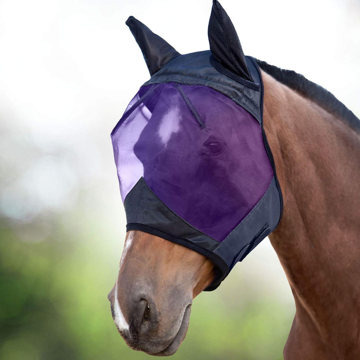 Harrison Howard CareMaster Horse Fly Mask Large Eye Space Half Face with Ears Black Large Full Size