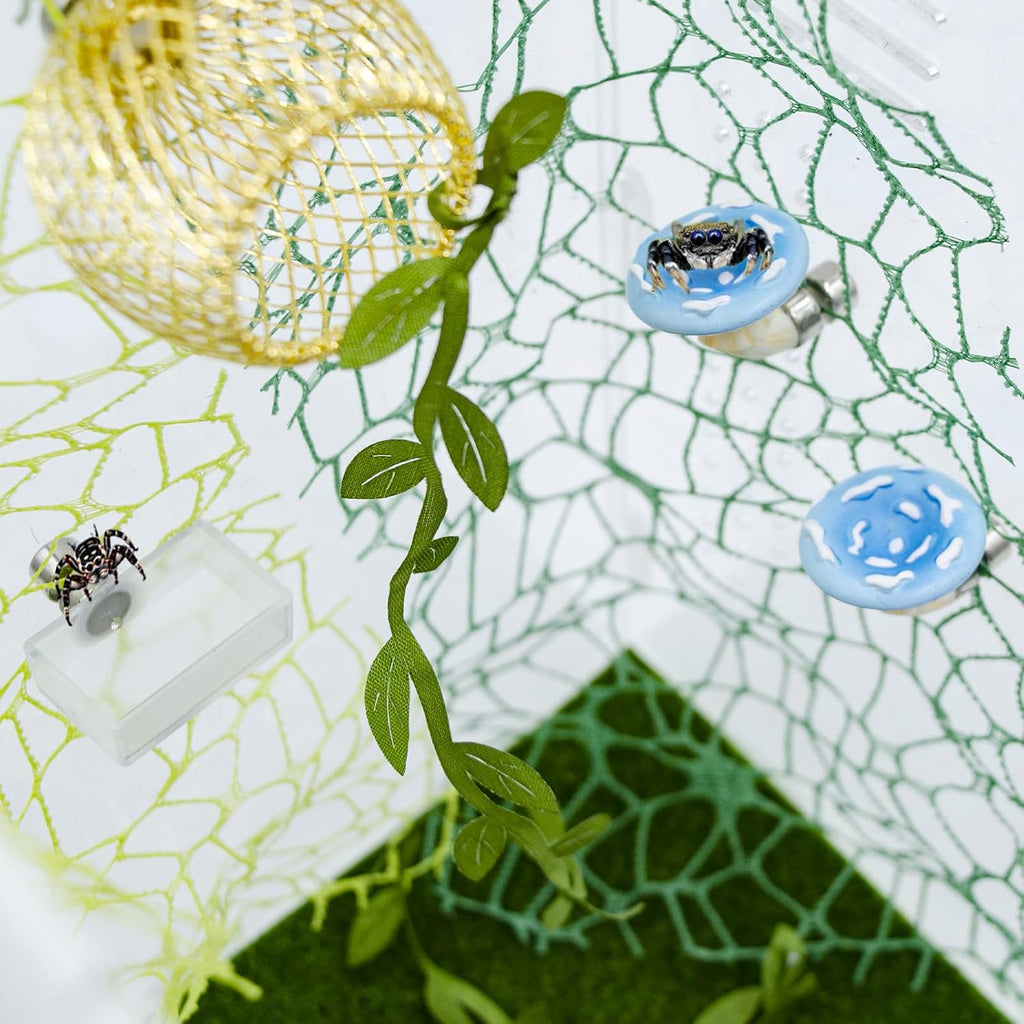 Jumping Spider Enclosure Accessories Set, 6 Pack with Carved Habitat Hideout, 2 Climbing Web, 2 Mushroom Decor, 1 Feeder