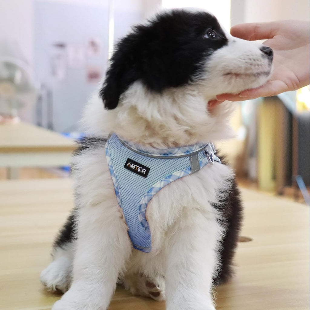 AMTOR Small Dog Harness with Leash Set, No Escape Easy Walk Puppy Harnesses for Training Walking, Step-in Reflective Soft Dogs Vest for XS S Medium Extra-Small Large Sized Dog(Blue/White,XXS)