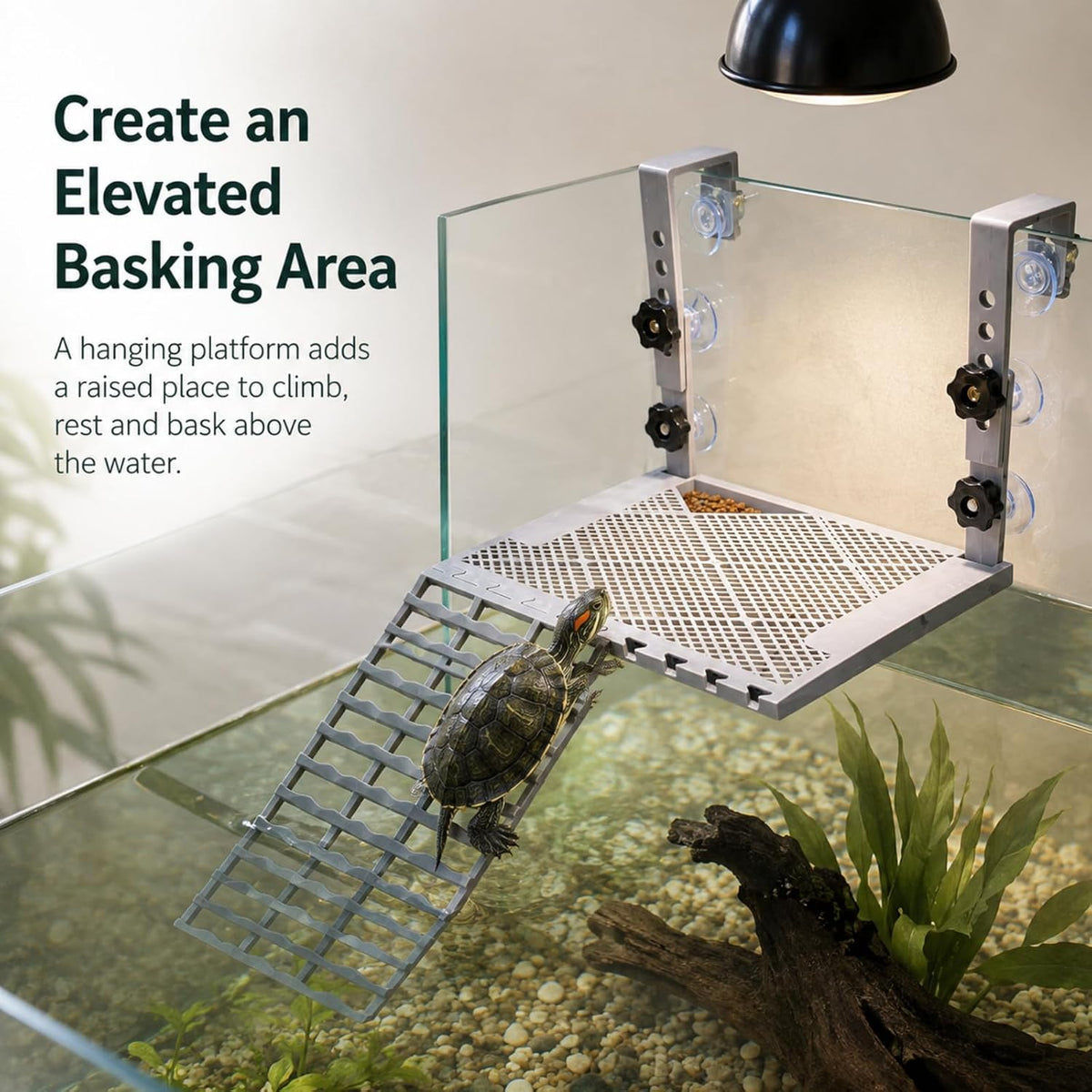 Hanging Turtle Basking Platform with Ramp and Feeding Tray
