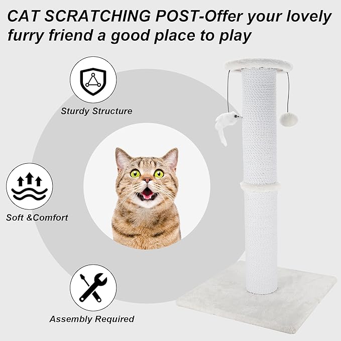 Cat Scratching Post 34 Inches Heavy Duty and Thicker Cat Scratching Post Sisal - Image 5