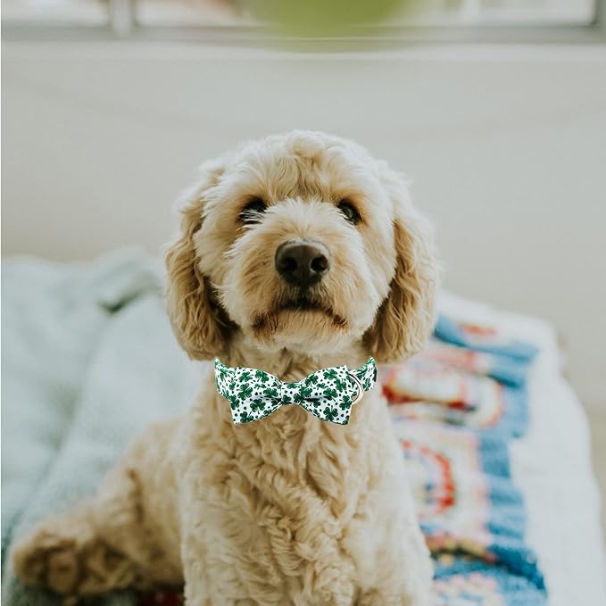 MR. CHUBBYFACE St.Patrick's Day Dog Collar Green Clovers Adjustable Dog Collar - Image 5
