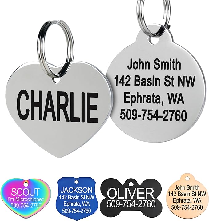 GoTags Stainless Steel Pet ID Tags, Personalized Dog Tags and Cat Tags by GoTags