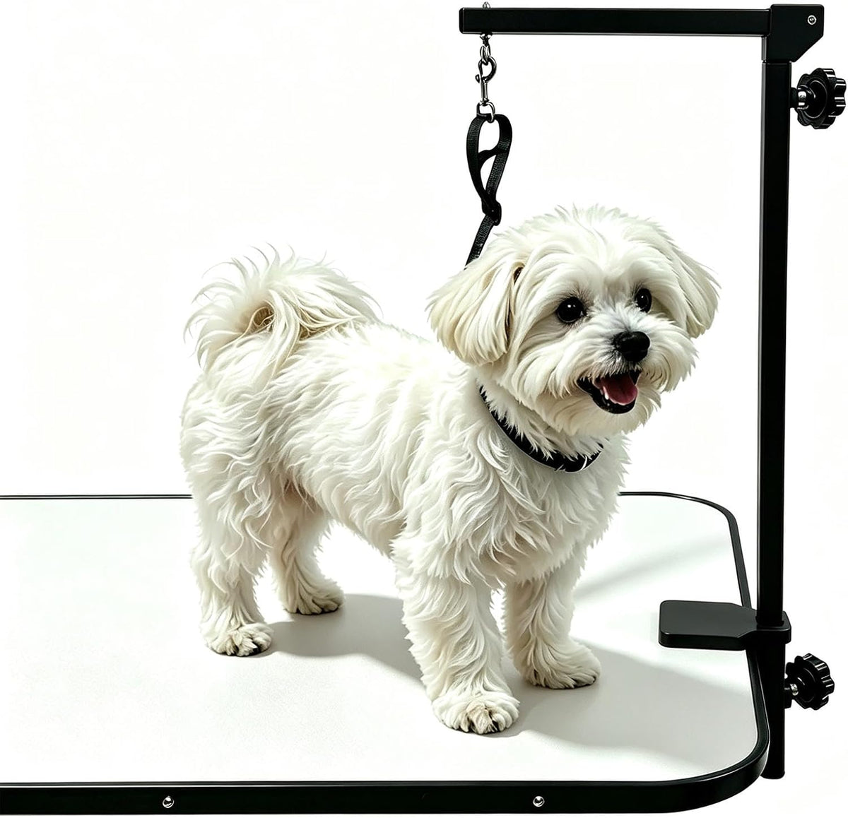 Iron Dog Grooming Arm with Clamp, Adjustable 25-47", Small/Medium