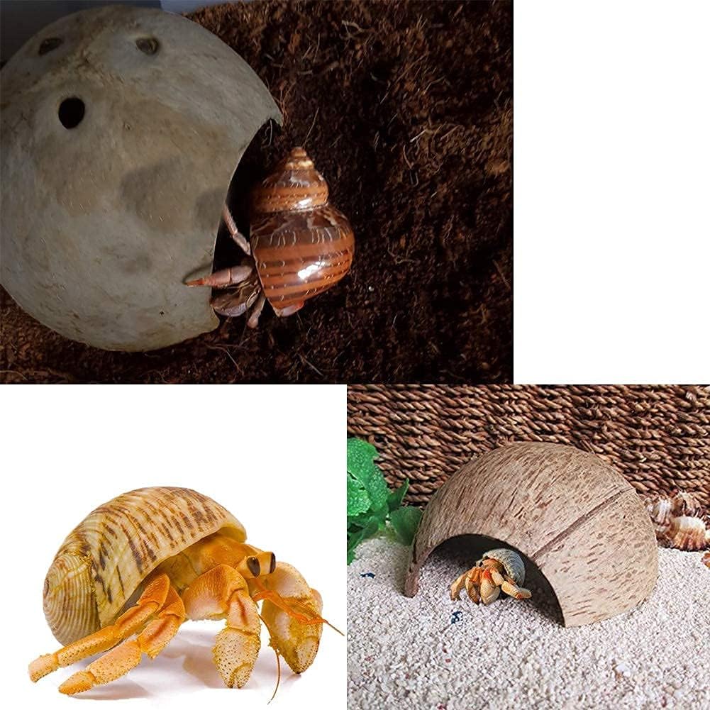 SINKOO 16PCS Hermit Crab Shells (7 Types) Growth, Hermit Crab Coconut Hut