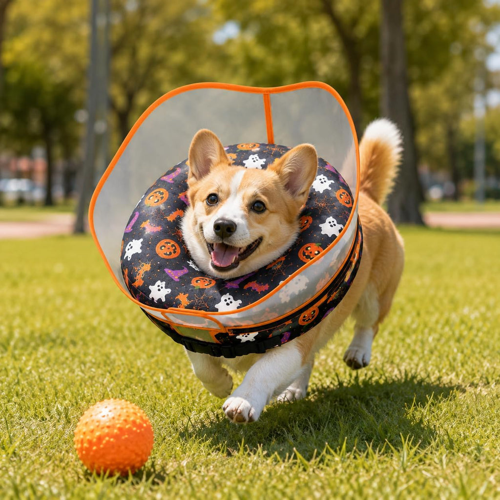Avont 2-in-1 Dog Cone XL Halloween Shield, Halloween Dog Costume