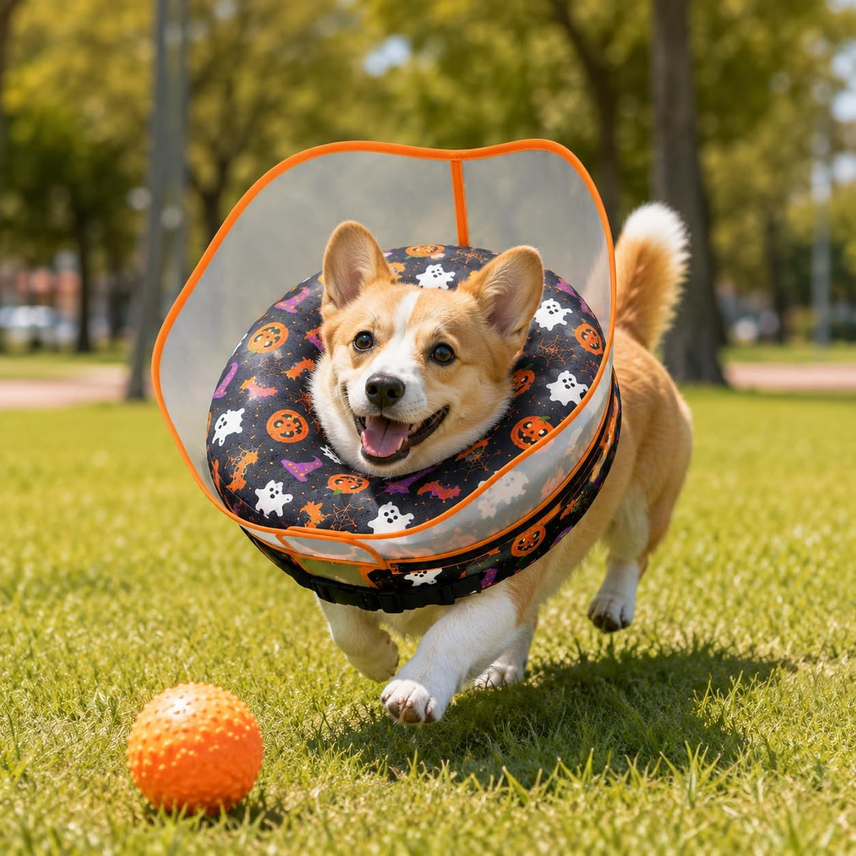 Avont 2-in-1 Dog Cone XL Halloween Shield, Halloween Dog Costume