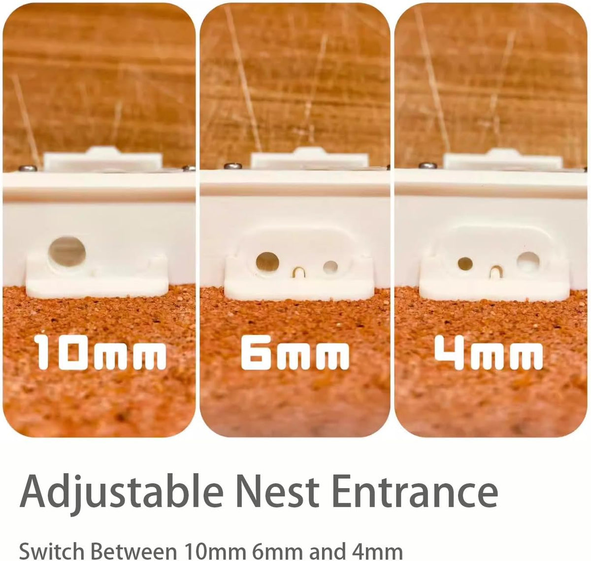 StackCore Stackable Series - White Habitat-(Flat Ant Nest) with Starter Tool Kit