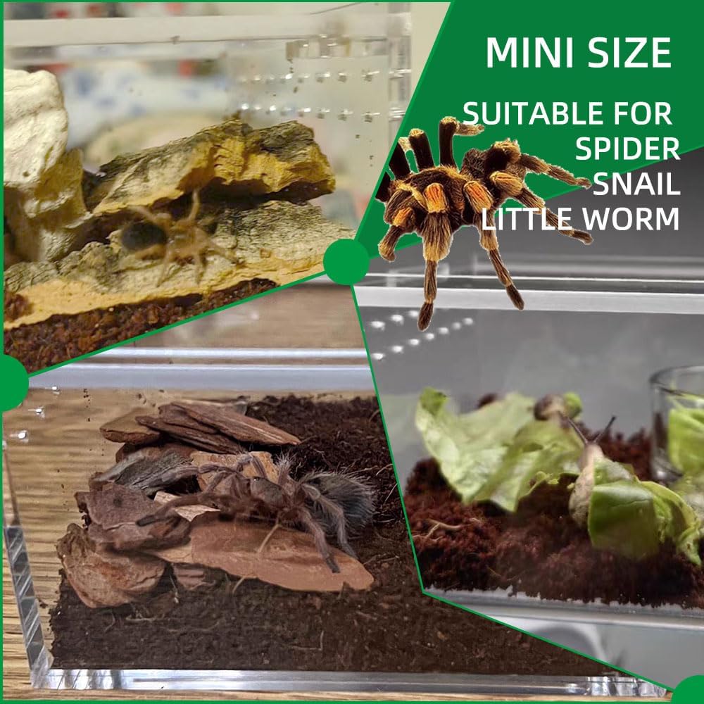 Small Acrylic Reptile Enclosure, No Assembly Small Reptile Breeding Box for Insect Tarantula Hermit Crab Jumping Spider (4x3.3X2.5 in)