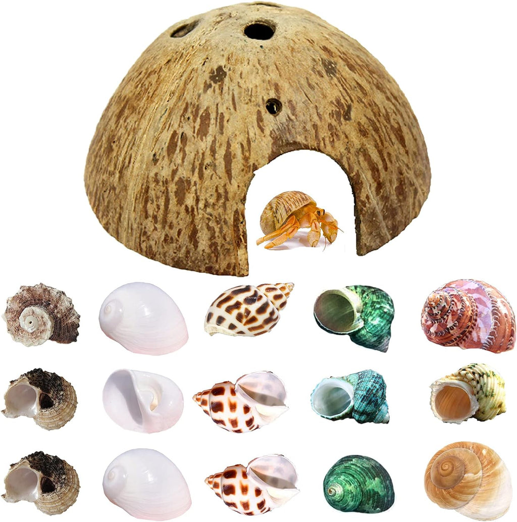 SINKOO 16PCS Hermit Crab Shells (7 Types) Growth, Hermit Crab Coconut Hut