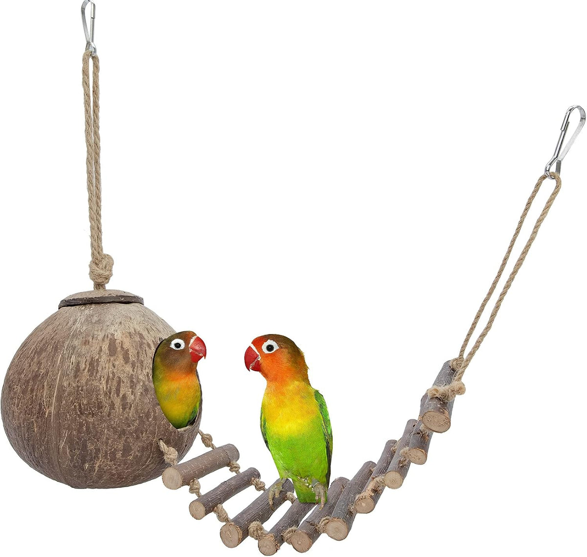 Niteangel Natural Coconut Hideaway with Ladder, Bird and Small Animal Toy (House with Ladder, Natural Surface)
